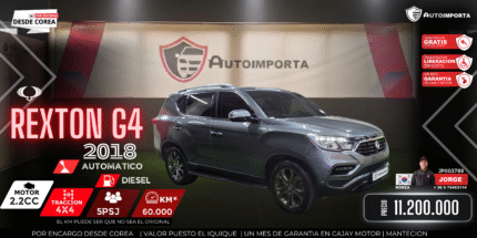 REXTON 2018 JP003789